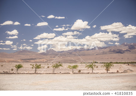 volcano in Atacama 41810835