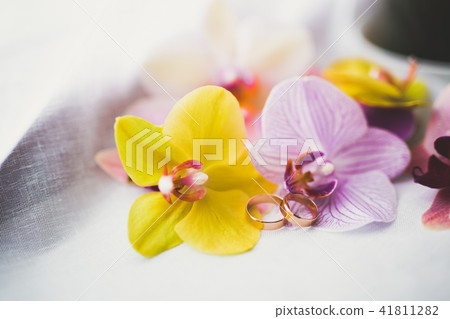 Two golden wedding rings isolated background concept Two golden wedding rings isolated background concept 41811282