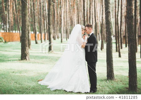 Happy wedding couple walking in a botanical park 41811285