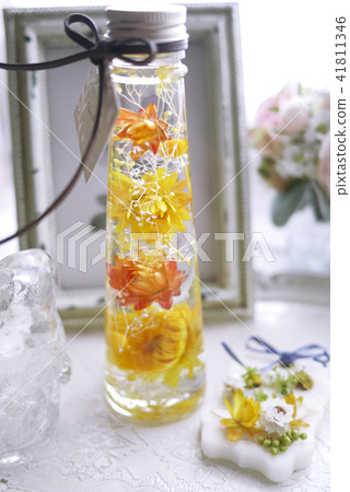 植物標本室 植物標本室 41811346