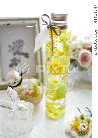 植物標本室 植物標本室 41811347