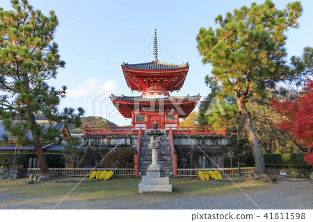 京都的Daikaku-ji·秋·清普佛 41811598