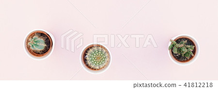 Top view of small pots with decorative cactuses 41812218
