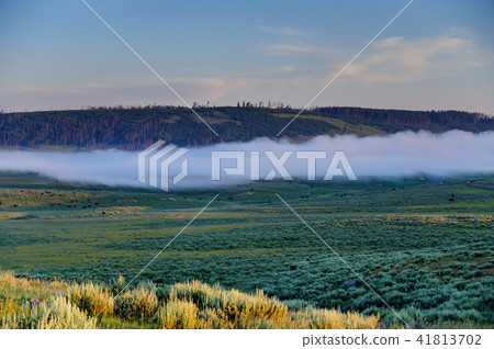 Mist over Hayden Valley 41813702