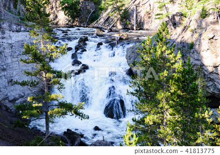 Gibbon Falls in Yellowstone National Park Gibbon Falls in Yellowstone National Park 41813775