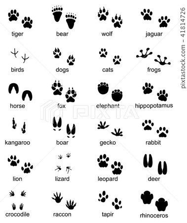 Set of footprints of wild animals Set of footprints of wild animals 41814726
