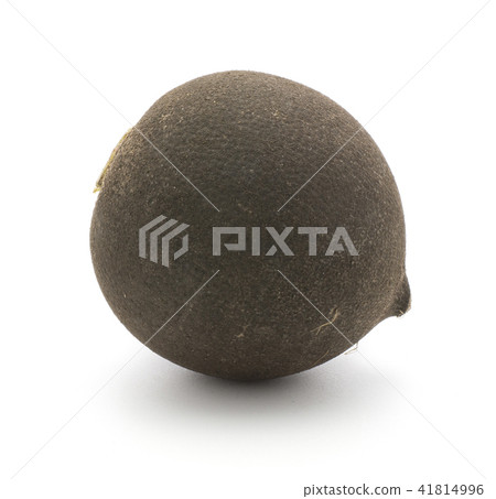 Black radish isolated on white 41814996