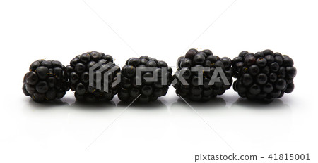 Blackberry isolated on white 41815001