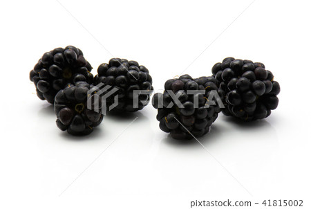 Blackberry isolated on white 41815002