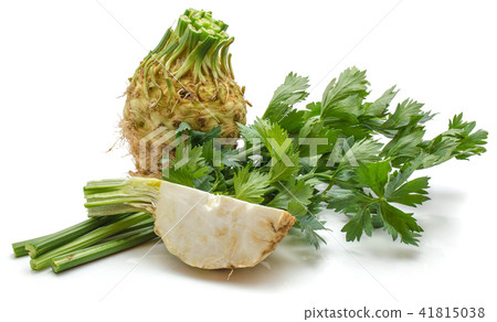 Fresh celery isolated on white Fresh celery isolated on white 41815038