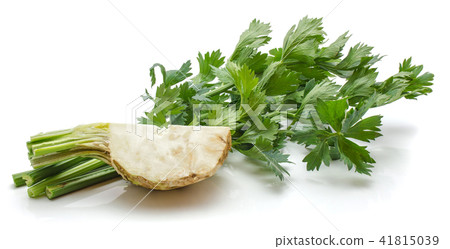 Fresh celery isolated on white Fresh celery isolated on white 41815039