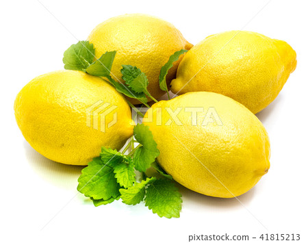 Fresh lemon and melissa isolated 41815213
