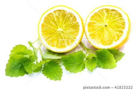 Fresh lemon and melissa isolated Fresh lemon and melissa isolated 41815222