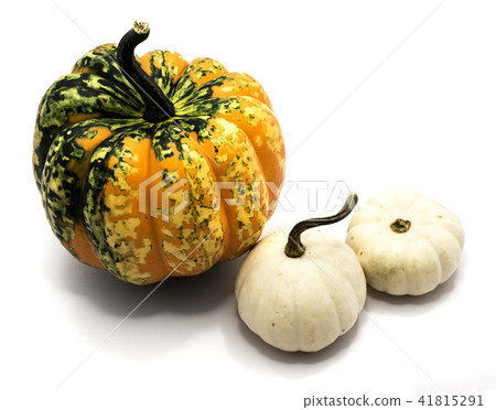 Mix of pumkpin isolated on white Mix of pumkpin isolated on white 41815291