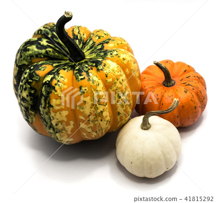 Mix of pumkpin isolated on white 41815292