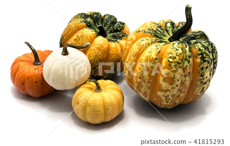 Mix of pumkpin isolated on white Mix of pumkpin isolated on white 41815293