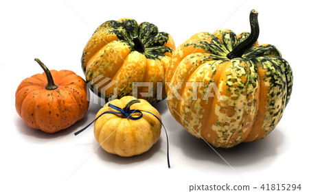 Mix of pumkpin isolated on white Mix of pumkpin isolated on white 41815294