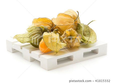 Fresh physalis isolated on white Fresh physalis isolated on white 41815332