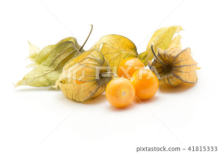 Fresh physalis isolated on white Fresh physalis isolated on white 41815333