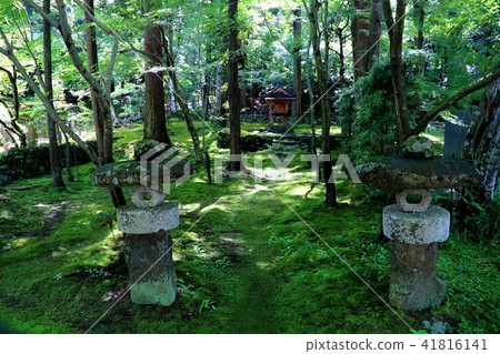 Tendai sect: Matsu Mineyama Kanagumi Watema (Shiga) · 5 41816141
