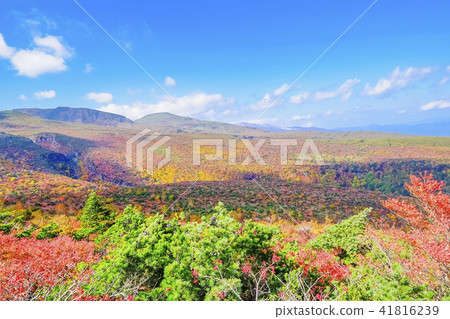 秋葉在足立山的山腳下 秋葉在足立山的山腳下 41816239