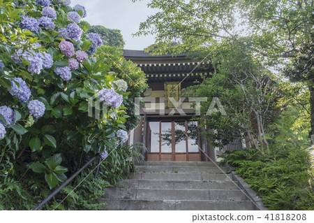 Masudo of Nagakuteji (Kamakura City Timber and Seas) 41818208