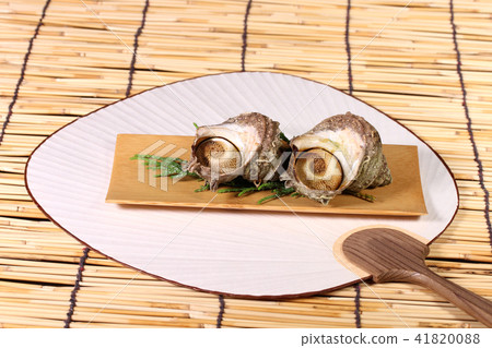 Bamboo grass of Sazae 41820088