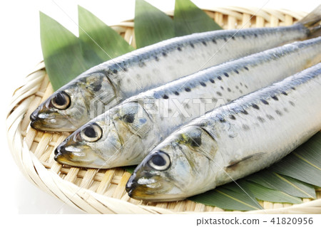 沙丁魚 41820956