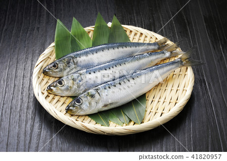 沙丁魚 41820957