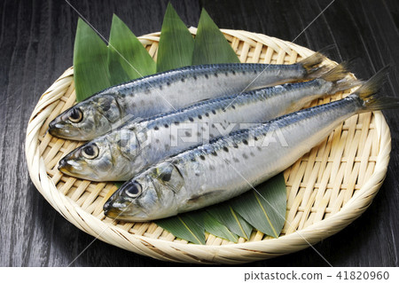 沙丁魚 41820960
