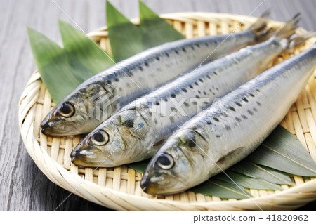 沙丁魚 41820962