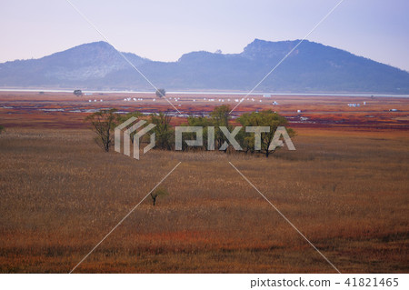 Gyeonggi Province, Hwaseong City, Sui Island 41821465