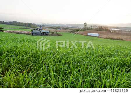 Gyeonggi Province, Anseong City, Anseong Ranch 41821516