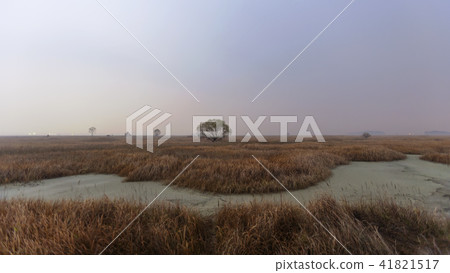 Gyeonggi Province, Hwaseong City, Songsan-myeon, Ecological Park Gyeonggi Province, Hwaseong City, Songsan-myeon, Ecological Park 41821517