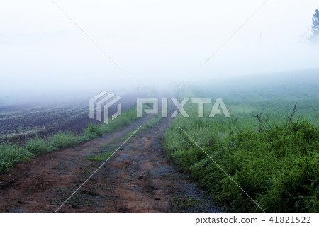 Gyeonggi Province, Anseong City, Anseong Ranch 41821522