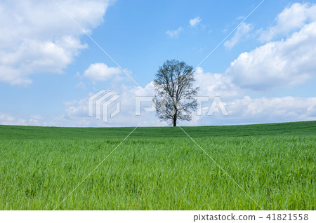 Gyeonggi Province, Anseong City, Anseong Ranch Gyeonggi Province, Anseong City, Anseong Ranch 41821558