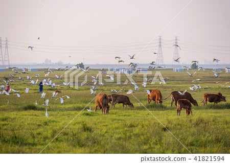 穗島華城市京畿道 41821594