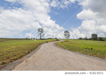 京畿道，安城市，安城牧場 41821631