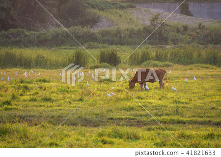 穗島華城市京畿道 41821633