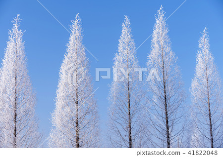 Gyeonggi Province, Yeoju City, Sinleuksa 41822048