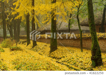 Gyeonggi Province, Yongin, Folk Village Gyeonggi Province, Yongin, Folk Village 41822250