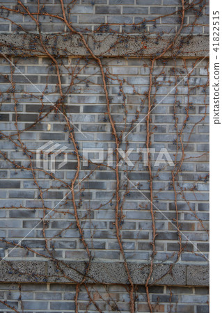 Gyeonggi Province, Yangpyeong, Doomari 41822515