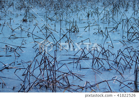 京畿道,楊平,楊甦裡 京畿道,楊平,楊甦裡 41822526