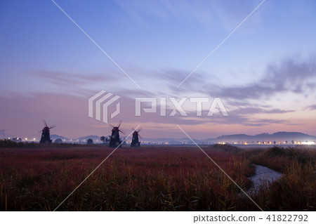 Incheon, Sorae, Ecological Park Incheon, Sorae, Ecological Park 41822792