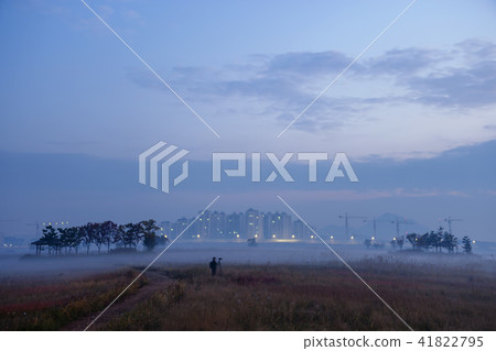 Incheon, Sorae, Ecological Park Incheon, Sorae, Ecological Park 41822795