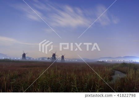 Incheon, Sorae, Ecological Park Incheon, Sorae, Ecological Park 41822798