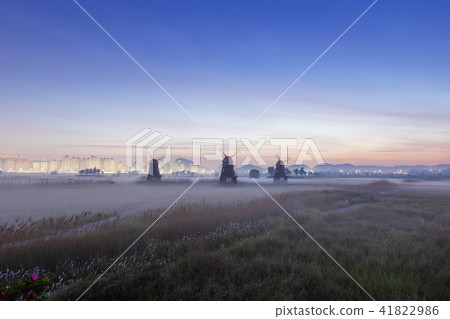 仁川，Sorae，Sorae生態濕地公園 41822986