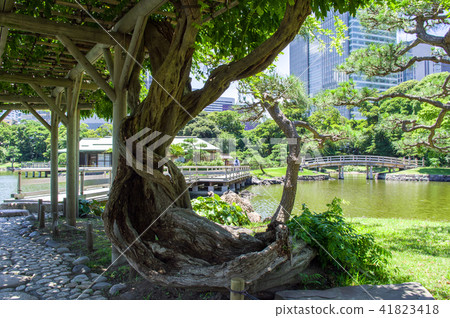 Hama Rikyu皇家花園東京 Hama Rikyu皇家花園東京 41823418