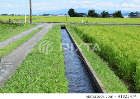 農業運河 41823474