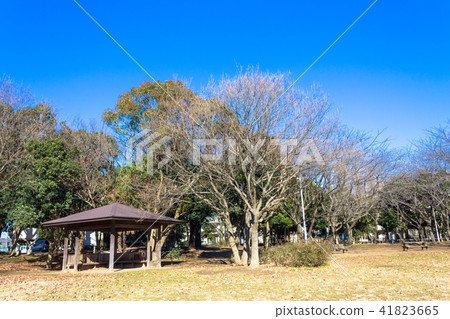 千葉縣船橋市野田公園 41823665